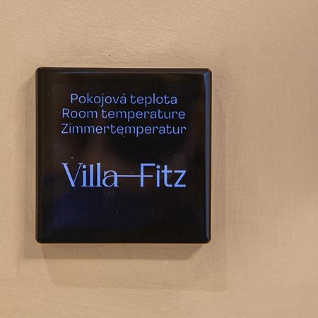 Villa Fitz โรกิตซานี ภายนอก รูปภาพ
